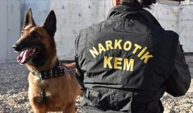 Hakkari’de Narkotik Dedektör Köpekler Polisin En Büyük Destekçisi Oldu