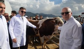Erzurum Valisi Memiş, “Avrupa’nın en büyük canlı hayvan pazarında” incelemelerde bulundu