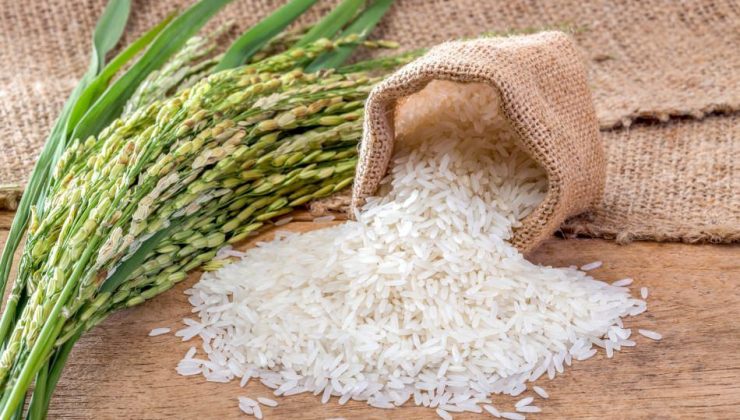Baldo pirinç nedir? Baldo pirinç özellikleri nelerdir? 2022 baldo pirinç fiyatları