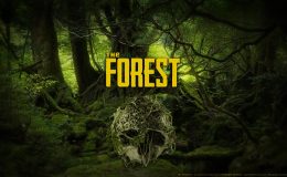The Forest Hile