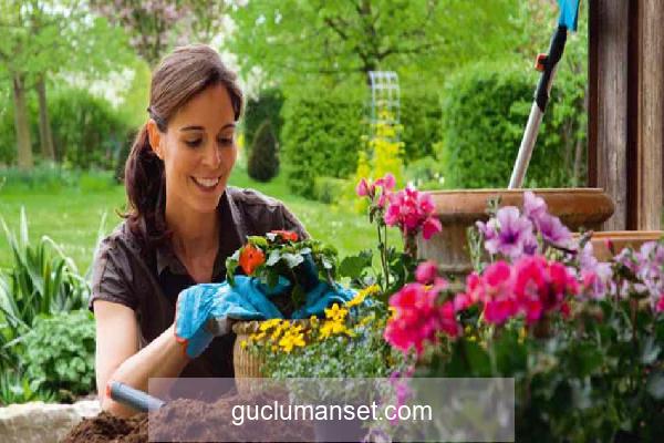 Bahçe temizliği nasıl yapılır? Bahçe temizliği ve düzeni için öneriler!