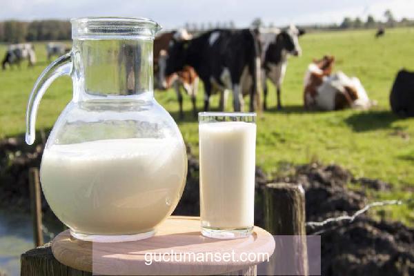 Çiğ süt nasıl kaynatılır? Çiğ süt kaç dakika kaynatılmalı? Çiğ sütün hazır sütten farkları