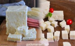 Ezine peyniri nedir ve nasıl anlaşılır? Ezine peyniri tarifi