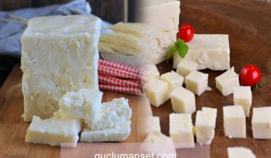 Ezine peyniri nedir ve nasıl anlaşılır? Ezine peyniri tarifi