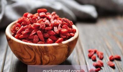 Hücreleri yenileyen mucize: Goji Berry faydaları nelerdir? Goji Berry nasıl tüketilir?
