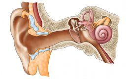 Kulak zarı ne işe yarar? Kulak zarı nasıl patlar? Kulak çubuğu kulak zarını patlatır mı?