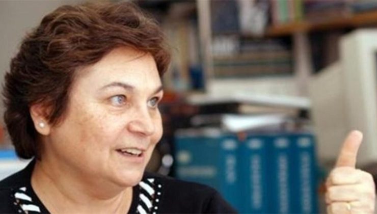 Bor Madeni İle İlgili Çalışmalar Yapmış Bilim Adamı Kimdir?
