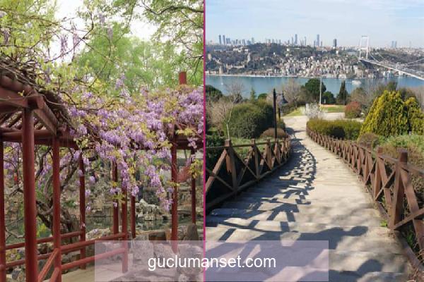İstanbul’un havası en temiz ve güzel parkları
