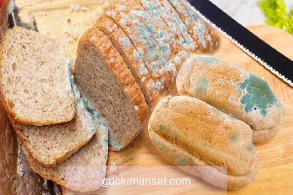 Ramazan’da ekmeğin küflenmesi nasıl önlenir? Ekmeğin bayatlayıp küflenmesini önlemenin yolları